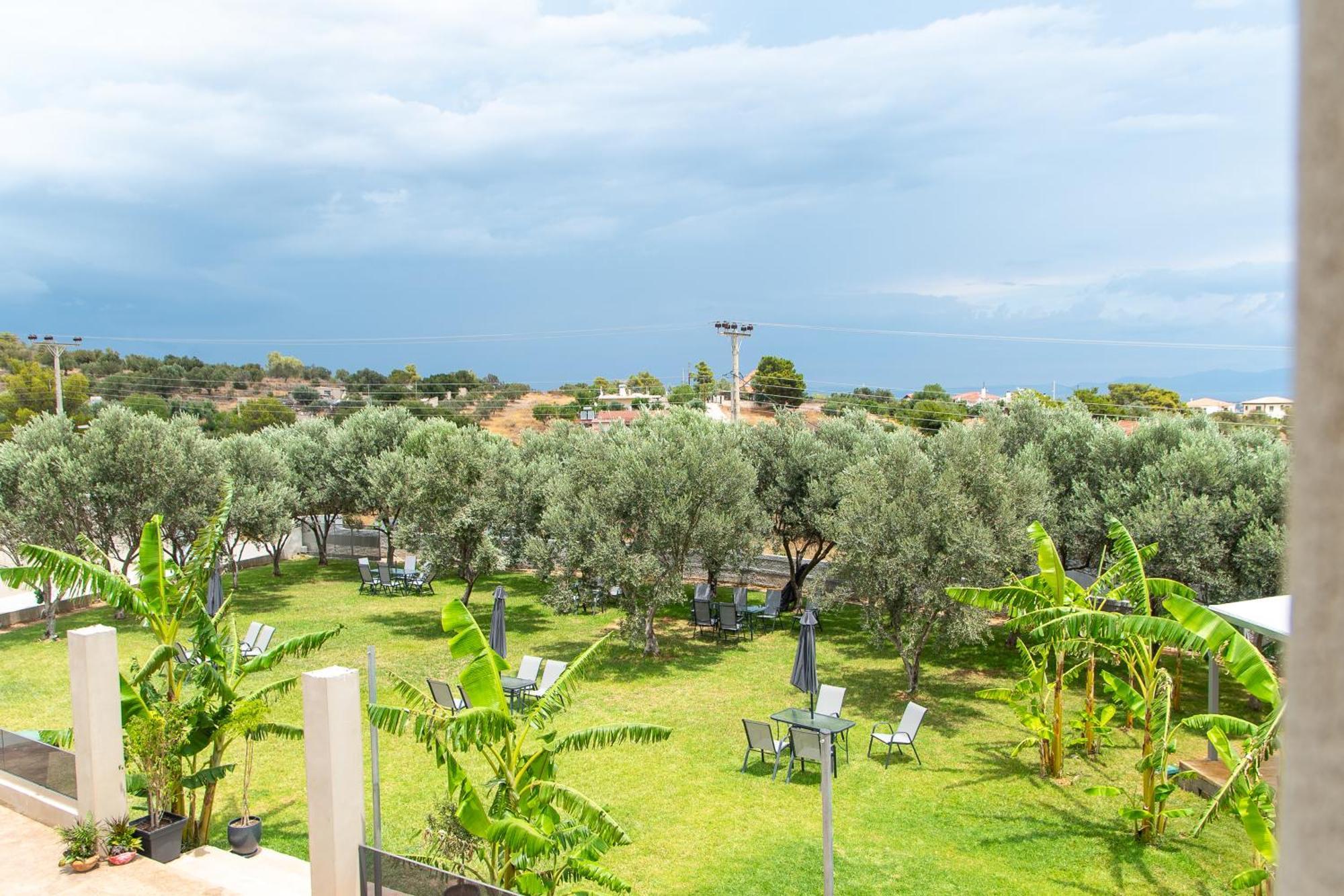 Airscape Hotel Free Shuttle From Athen'S Airport Artemida  Eksteriør billede